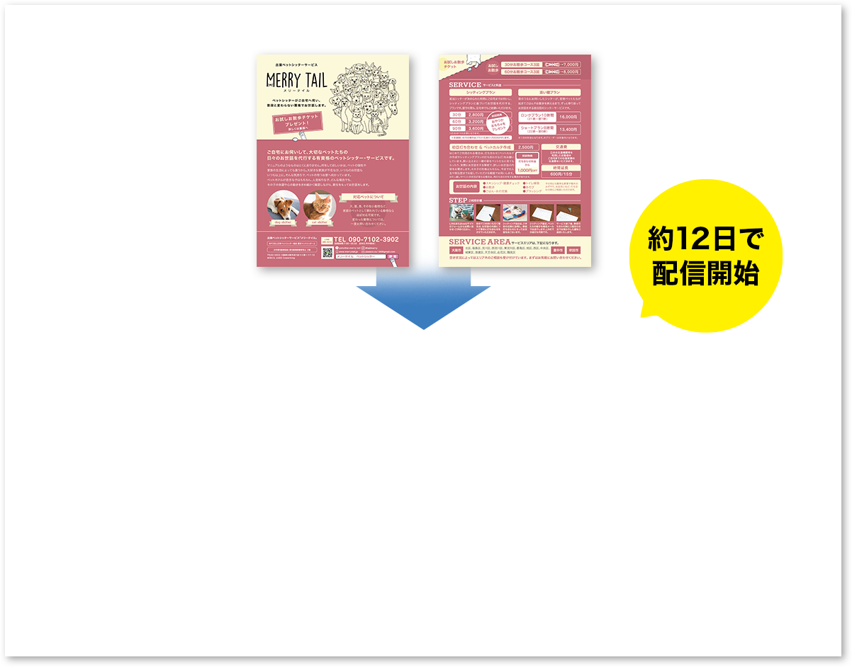 約12日で 配信開始